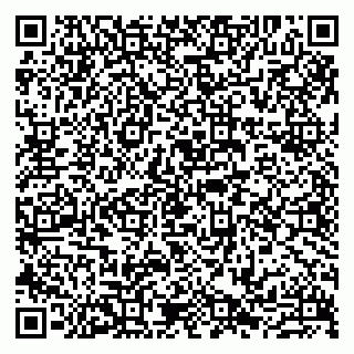 vCard 79807233527