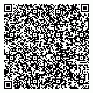 vCard 79807233537