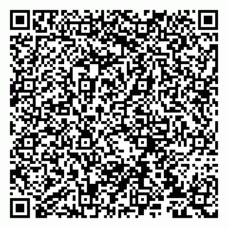 vCard 79807233581