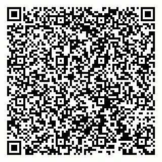 vCard 79807233588