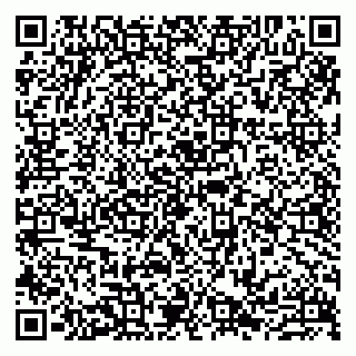 vCard 79807233589