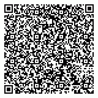 vCard 79807233629