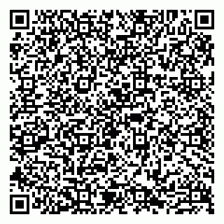 vCard 79807233700
