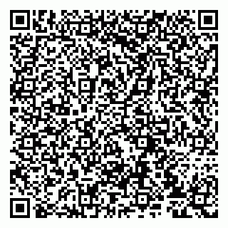 vCard 79807233804