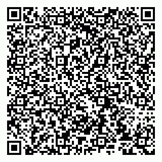 vCard 79807233831