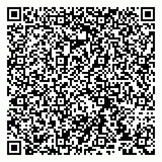 vCard 79807233851