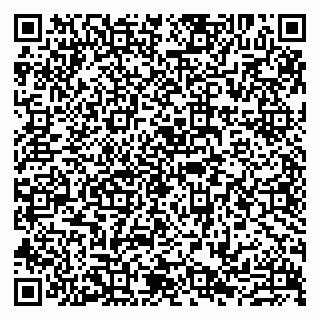 vCard 79807233875