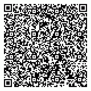 vCard 79807233881