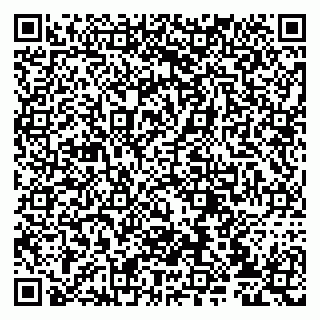 vCard 79807233887