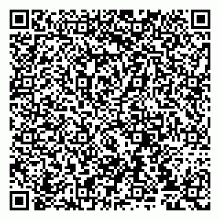 vCard 79807233901