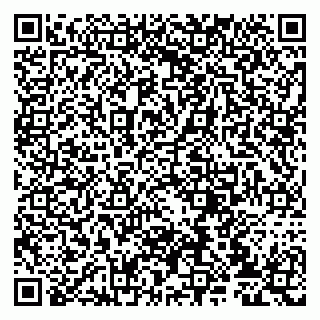 vCard 79807233903