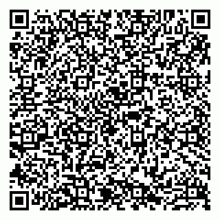 vCard 79807233969