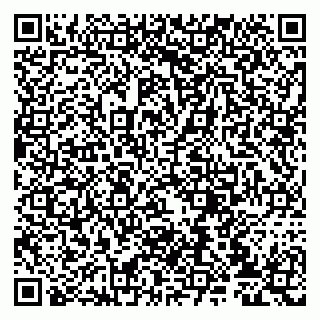 vCard 79807233987