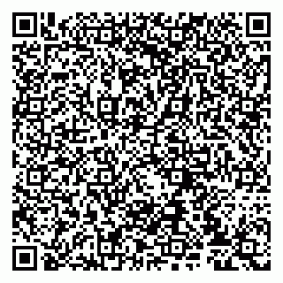 vCard 79807234013
