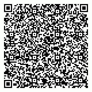vCard 79807234032