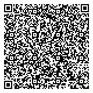 vCard 79807234093