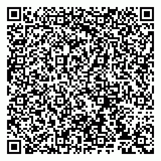 vCard 79807234132