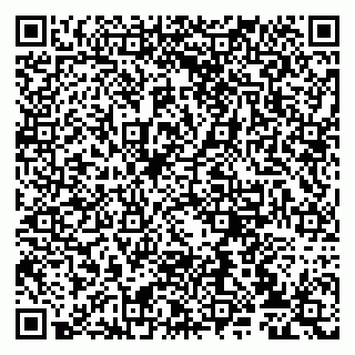 vCard 79807234133