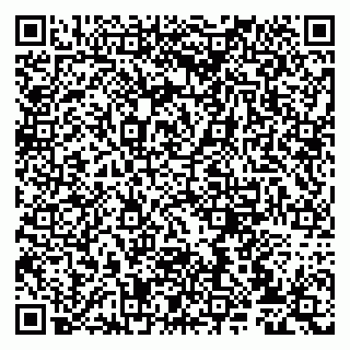 vCard 79807234173