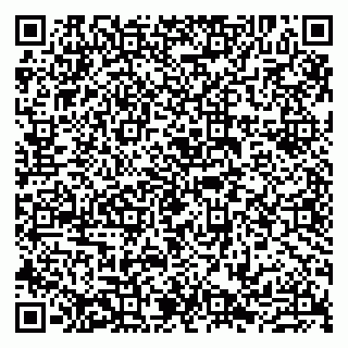vCard 79807234176
