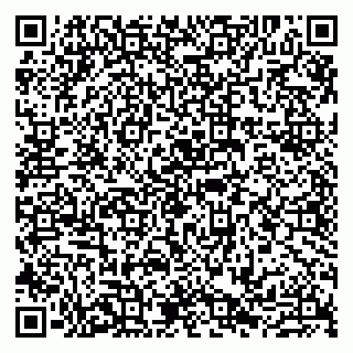 vCard 79807234207