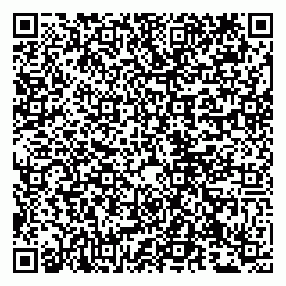 vCard 79807234881