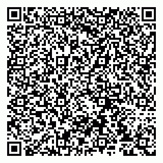 vCard 79807235031