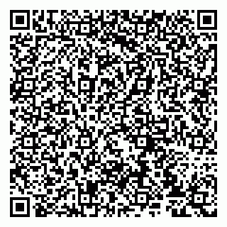 vCard 79807235034