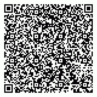 vCard 79807235074