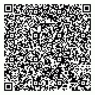 vCard 79807235093