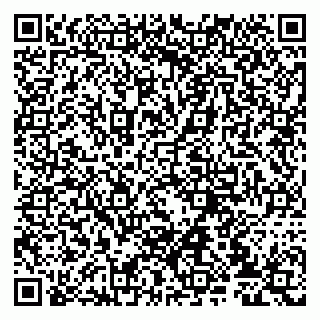 vCard 79807235094