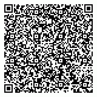 vCard 79807235095