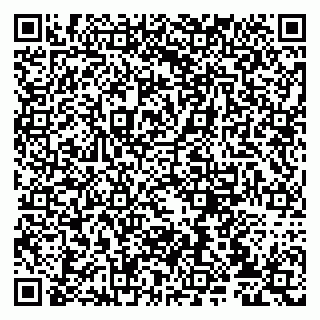 vCard 79807235172