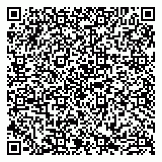 vCard 79807235173