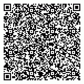 vCard 79807235183