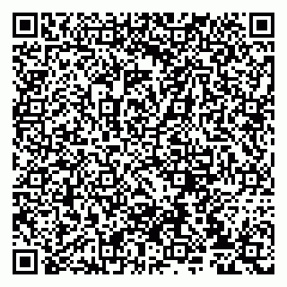 vCard 79807235187