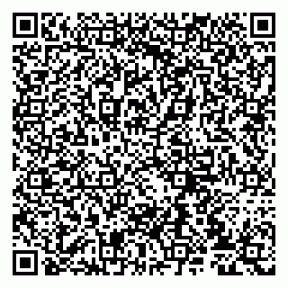 vCard 79807235204