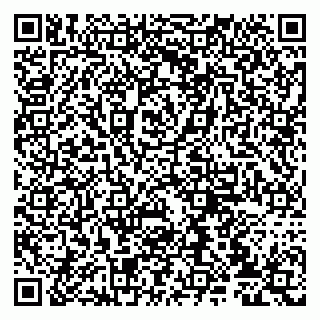 vCard 79807235209