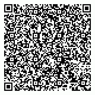 vCard 79807235240