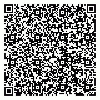 vCard 79807235262