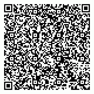 vCard 79807235272