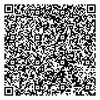 vCard 79807235278