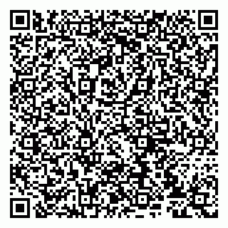vCard 79807235281