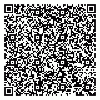 vCard 79807235285
