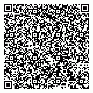 vCard 79807235293