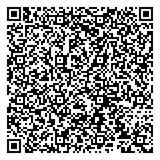 vCard 79807235297