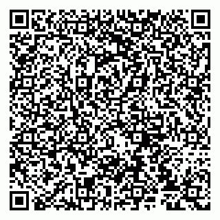 vCard 79807235300