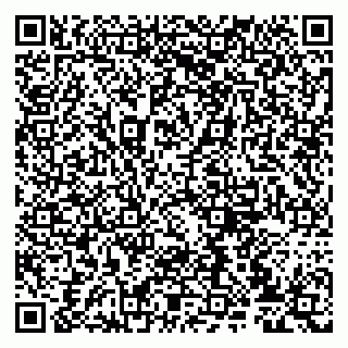 vCard 79807235302
