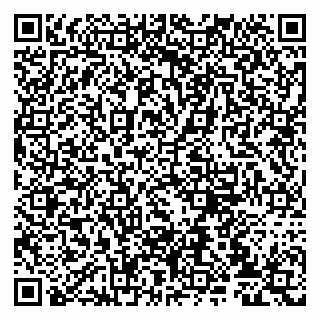 vCard 79807235304