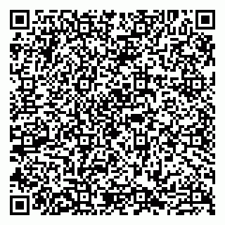 vCard 79807235305